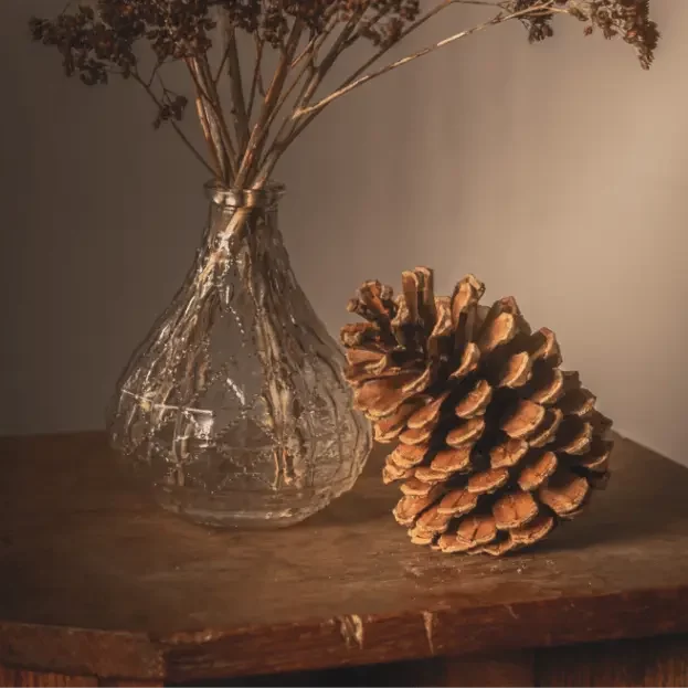 Autumn Cone